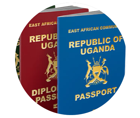 Visa & Passport Application