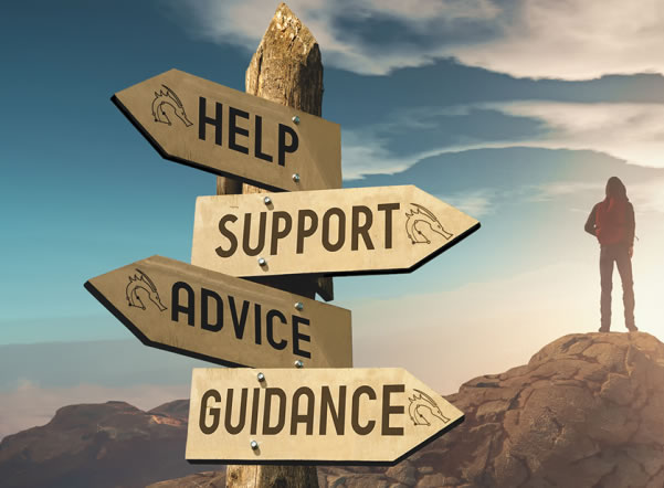 On-the-Ground Support